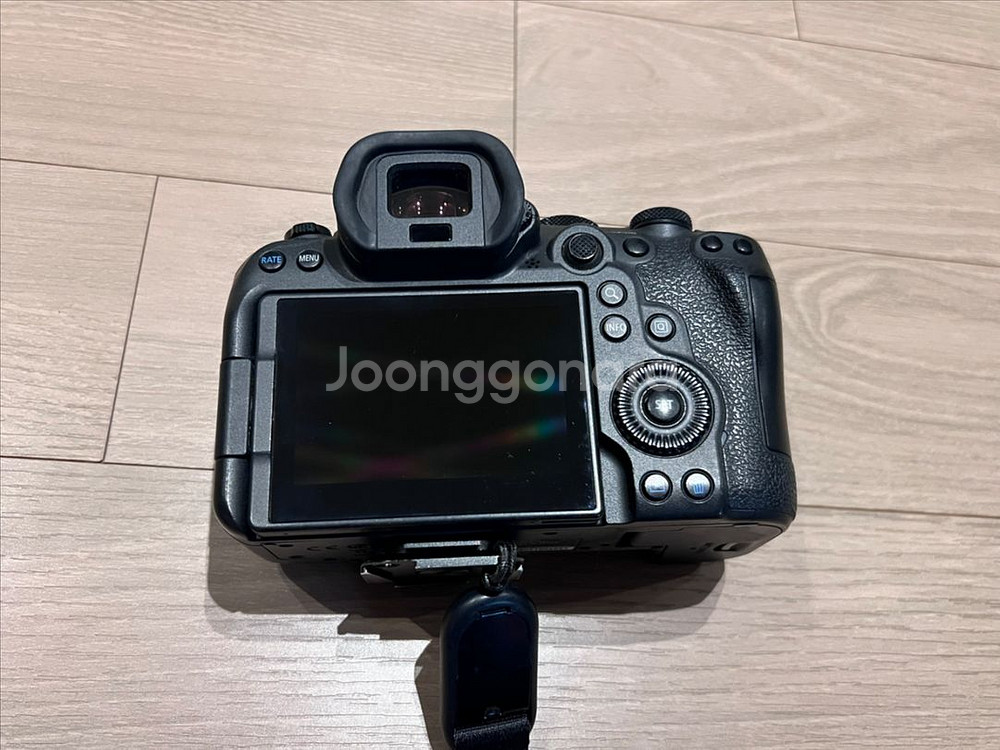 EOS R6 mark2--1