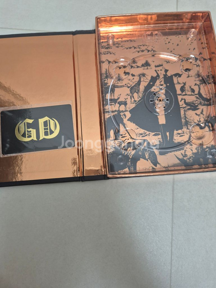 지디 원오보어카인드--1