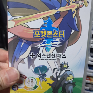 닌텐도 스위치 소드 익스팬션 패스