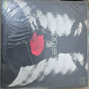 쉼(정원영) LP 희귀음반