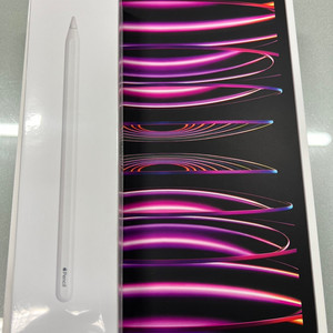 아이패드 프로 M2 11 스페이스그레이 128G