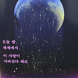 오늘 밤 세계에서 이 사랑이 사라진다 해도