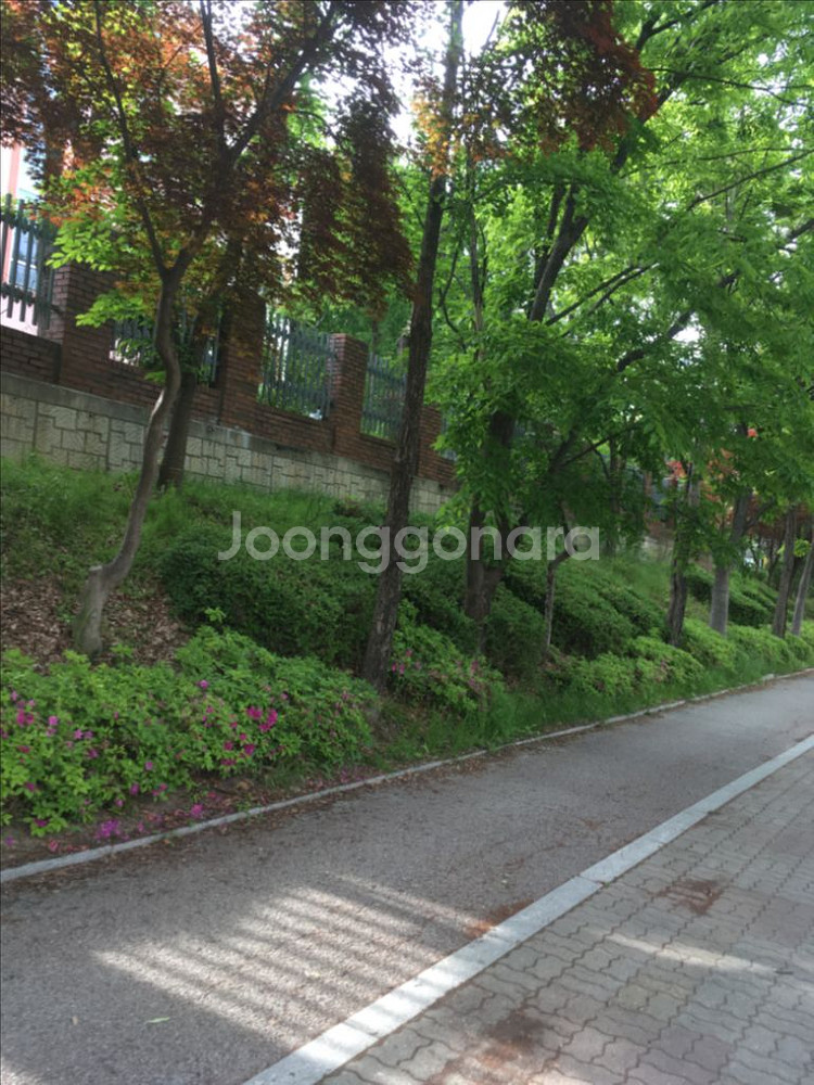 아이폰 se1 16gb 스그--3