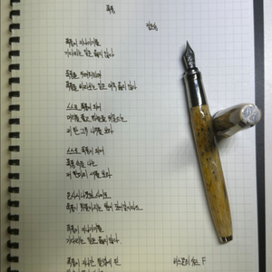 비스콘티 반고흐 슈즈 만년필