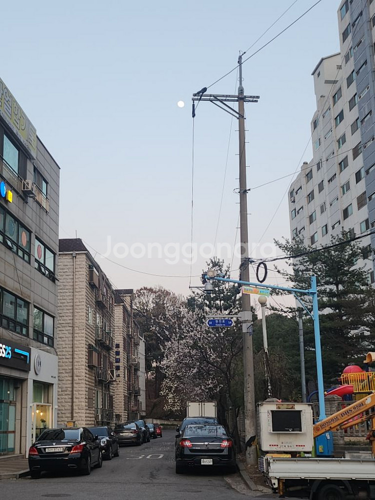 동물 산책해줘요~--0