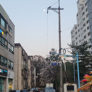 동물 산책해줘요~
