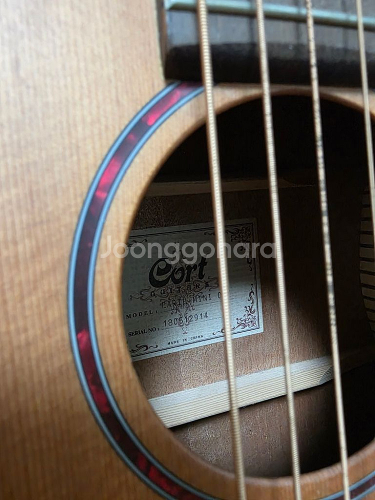 Cort Earth Mini 콜트 어스 어쿠스틱 미니--2