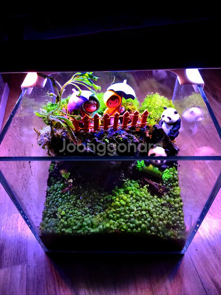 어항 올디어망 20큐브 무환수 전경수초 외 풀세트.--0