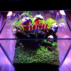 어항 올디어망 20큐브 무환수 전경수초 외 풀세트.