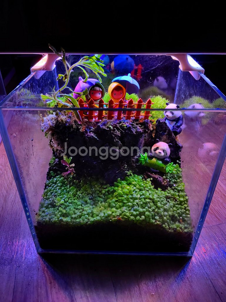 어항 올디어망 20큐브 무환수 전경수초 외 풀세트.--1