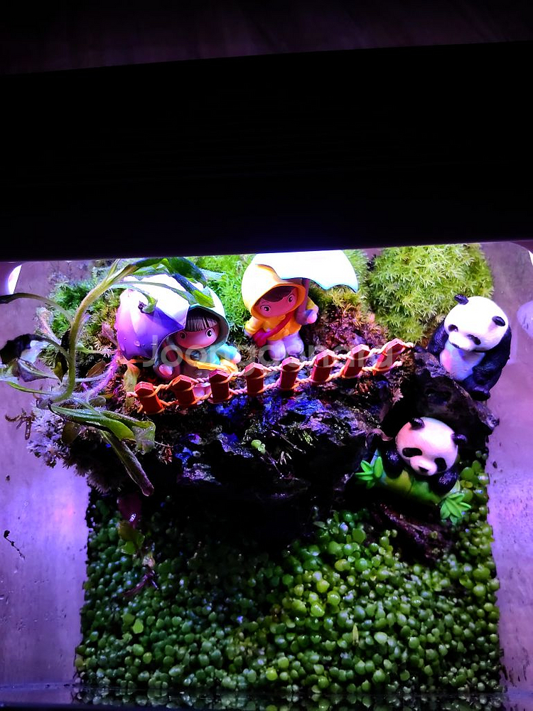 어항 올디어망 20큐브 무환수 전경수초 외 풀세트.--2