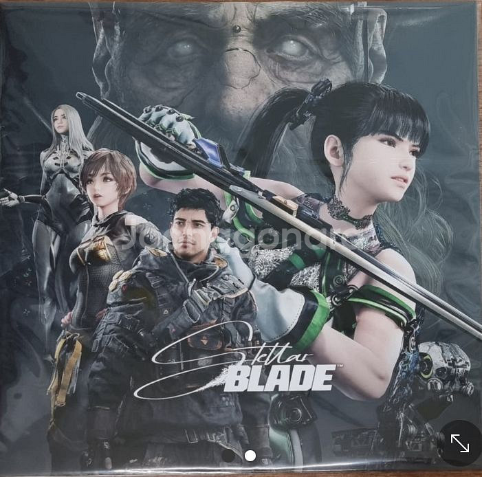 스텔라 블레이드 LP2--0