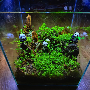 어항 올디어망 25하이 수석.전경.후경.무환수 풀세트