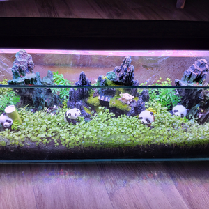 어항 450.140.170 퀄리티 어항.무환수.전경수초