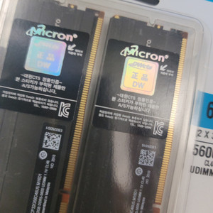 Crucial DDR5-5600 Pro 64GB 정품