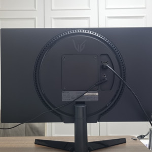 LG 24GS60F