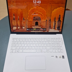 LG 그램 17인치 17Z90N-VA5DK