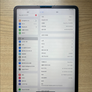 새상품급 아이패드 프로 11 4세대 256GB 셀룰러