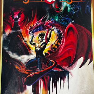 던전즈 앤드 드래곤즈 초판1995 d&d trpg