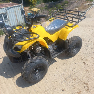 50cc 4륜바이크