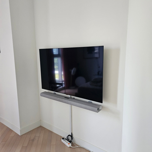 oled tv 55인치