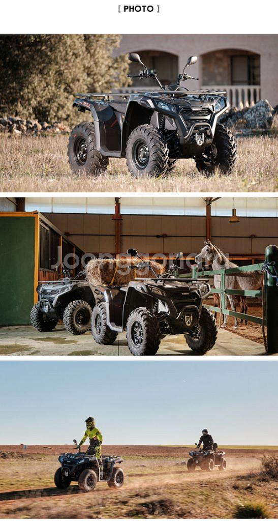 GOES ATV Terrox400s 4륜구동 사륜바이크--2