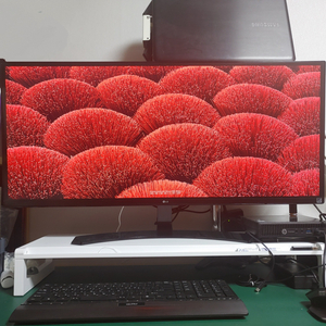 LG 34인치 울트라와이드 모니터