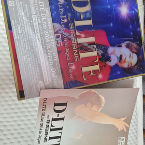 빅뱅 대성 솔로콘서트 D-LITE DLive 2014