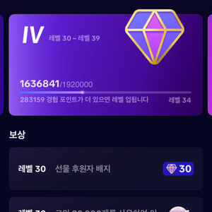 틱톡 33레벨 업까지 30만남음