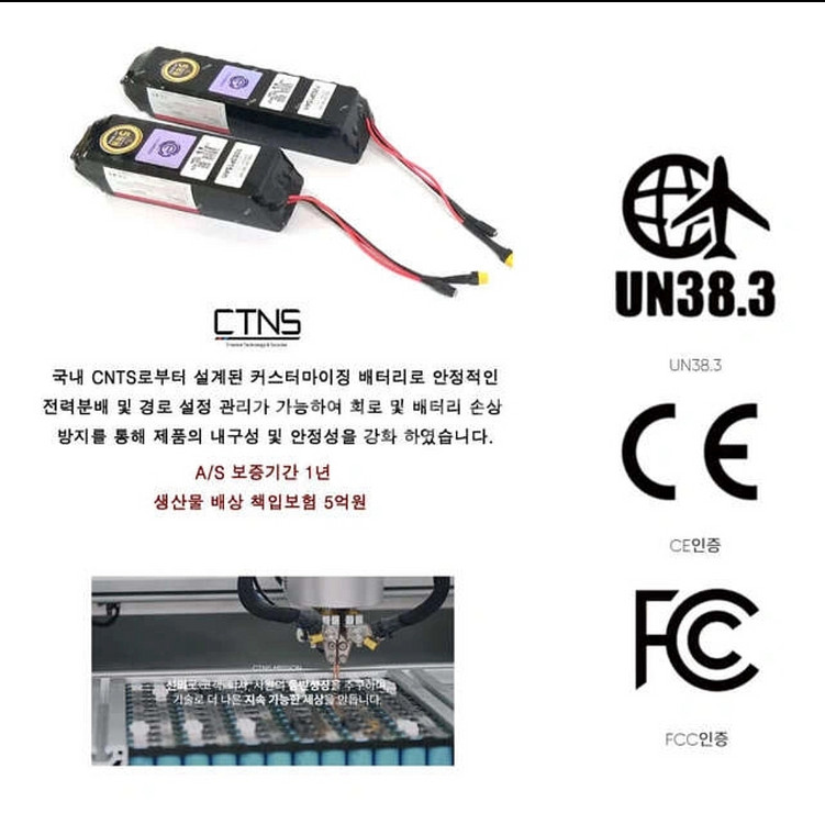 클래식 구스타브 전기자전거--3