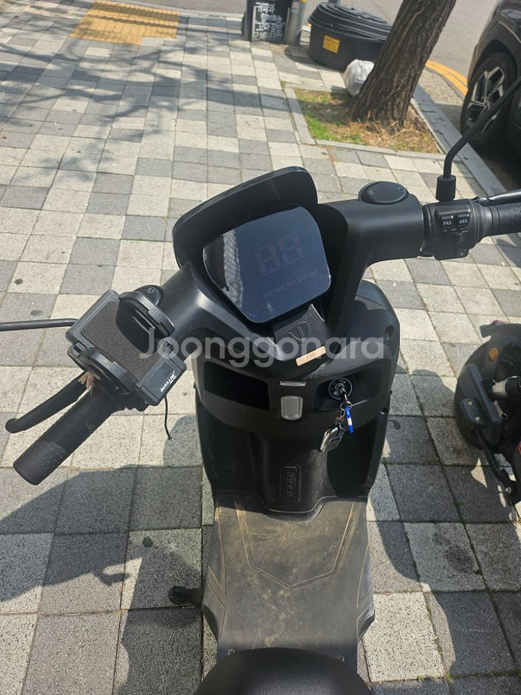 모토벨로 전동스쿠터 핍니딘--3