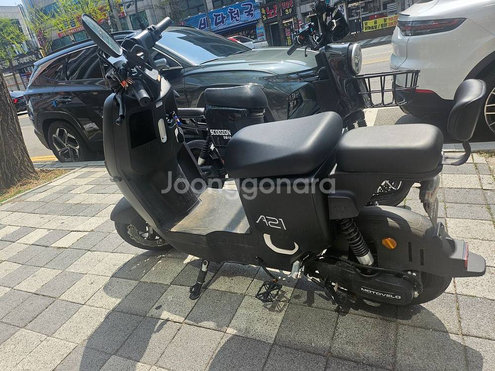 모토벨로 전동스쿠터 핍니딘--1
