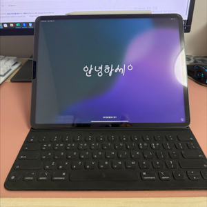 아이패드 프로 12.9 5세대 m1 128기가+스키+애