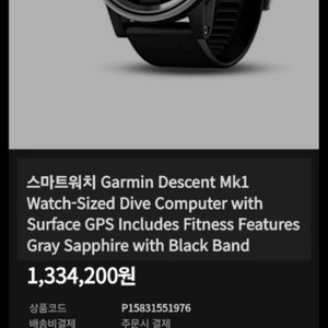 가민 디센트mk1