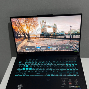 ASUS TUF F17 4060노트북