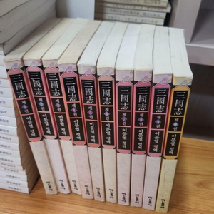 삼국지 전10권 등 책