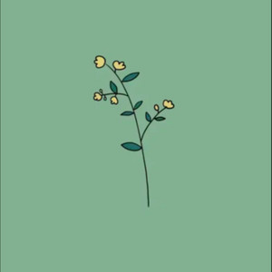 정밀