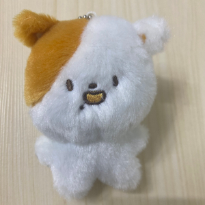 엔시티 지성 인형 포켓찌 양도