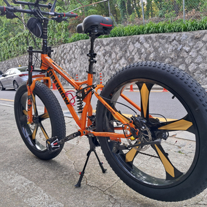 팻바이크MTB