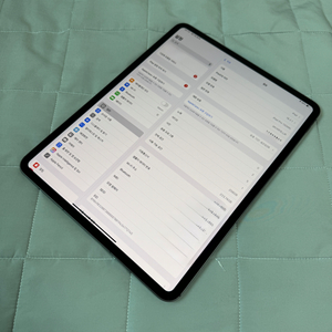 아이패드 프로 13 M4 256GB 셀룰러 스페이스블랙