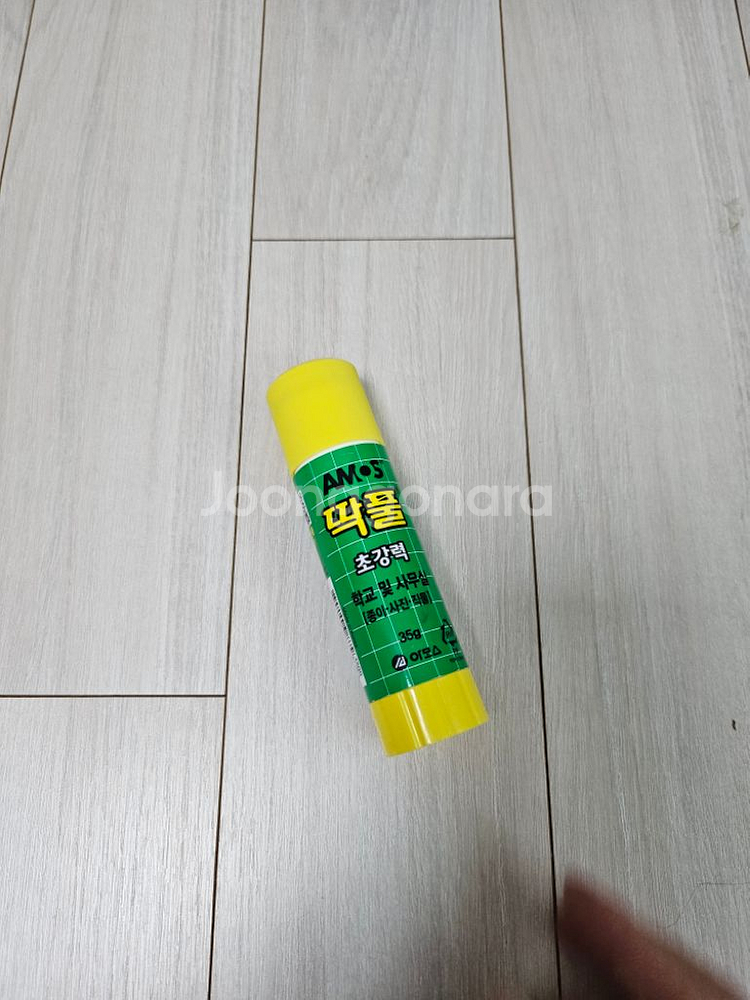 딱풀--0
