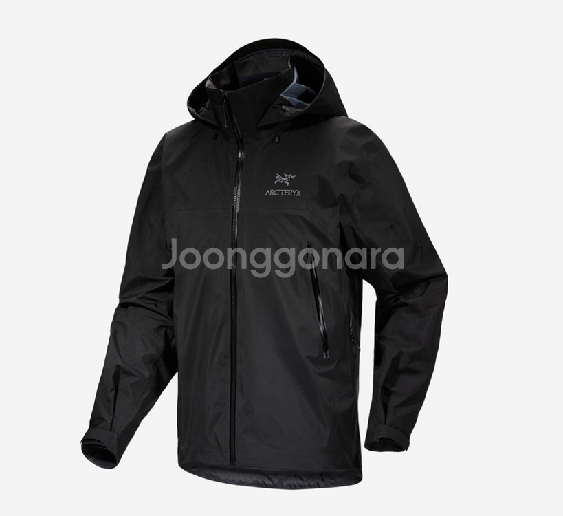 [25ss]아크테릭스 베타 ar [L]--0