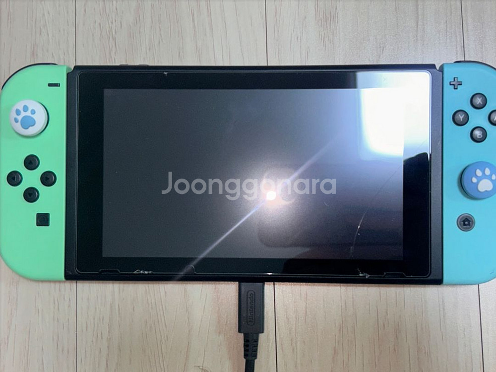 닌텐도 스위치 동물의 숲 에디션 (게임팩 포)--1