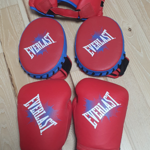 에버라스트 프로스펙트 아동 복싱 키트