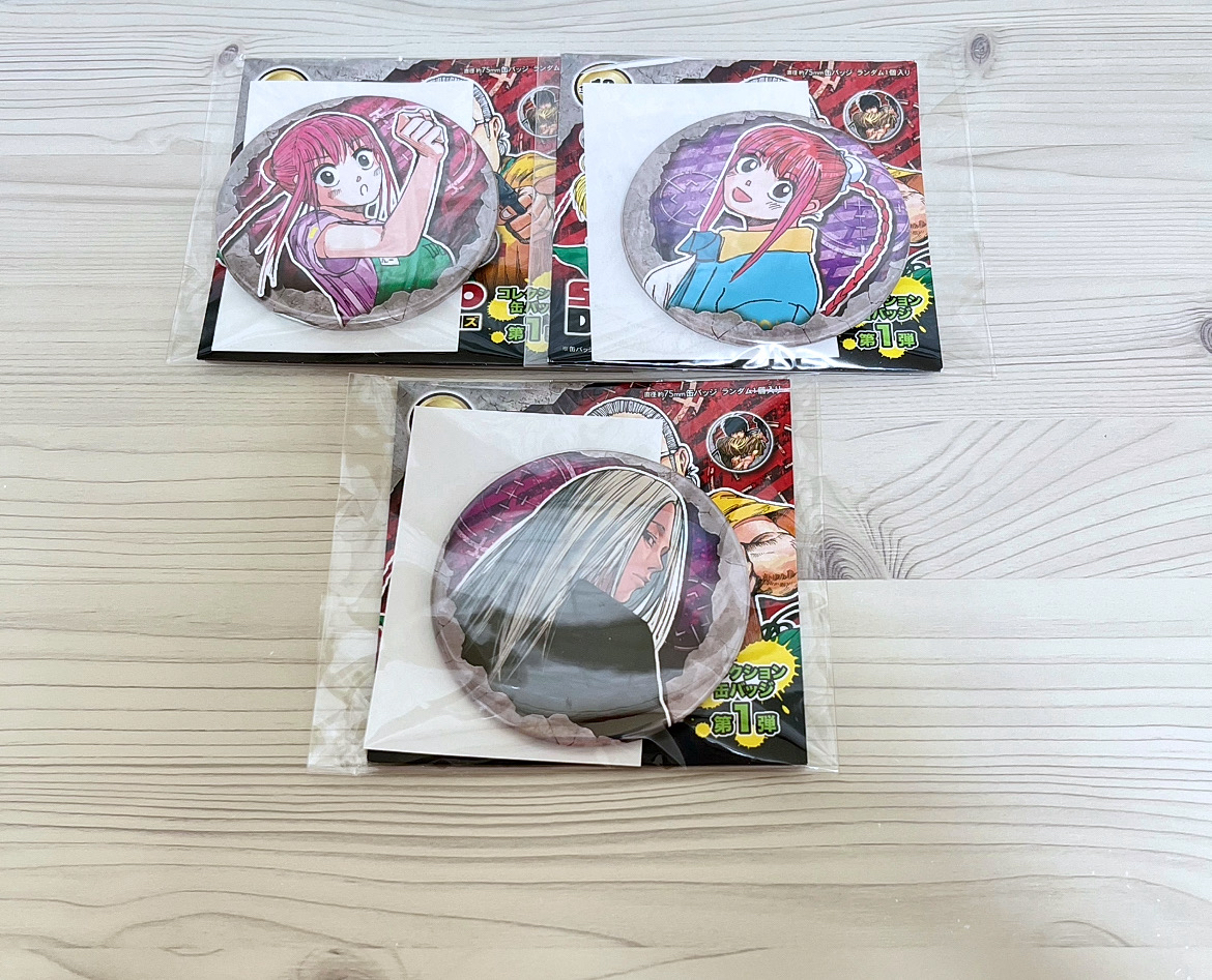 사카모토 데이즈 시시바 + 루 샤오탕 컬렉션 뱃지