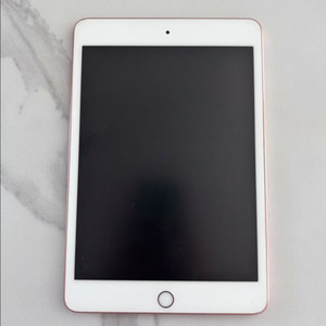 아이패드 미니 5세대 (뒷면스크래치) + 애플펜슬