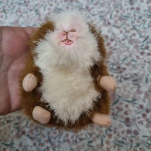 모루못토상 기니피그 키링 인형 가방걸이 8cm