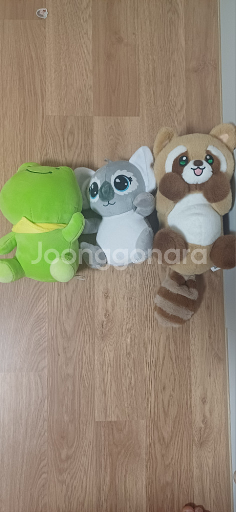 개구리,코알라,너구리 인형 새거~--0