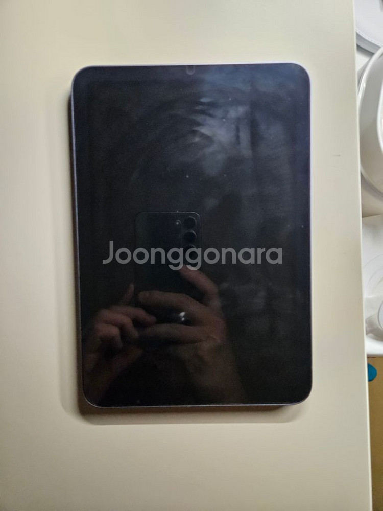 아이패드 미니6세대 256g--2