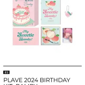 플레이브 밤비 생일키트